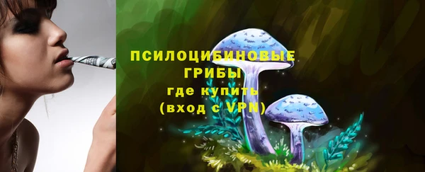 прущая мука Нягань